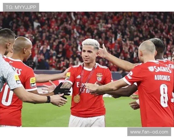 恩佐是否依赖国家队体系？战术角色与比赛影响力分析